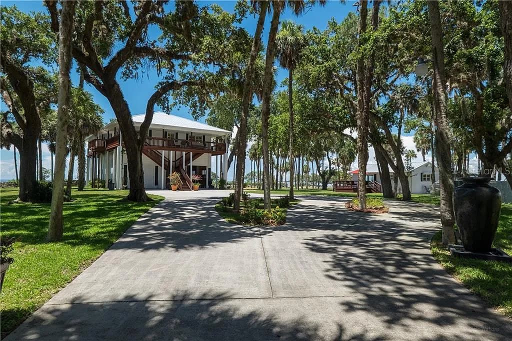 The approach to the main residence beneath a canopy of live oaks and palms